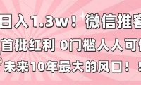 （16969期）日入1.3w！微信推客，首批红利，未来10年最大的风口，0门槛，人人可做！-天天资源网