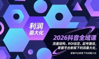 （16984期）2026抖音全域课，流量结构、ROI设定、起号路径，掌握平台新规下利2最大化-天天资源网
