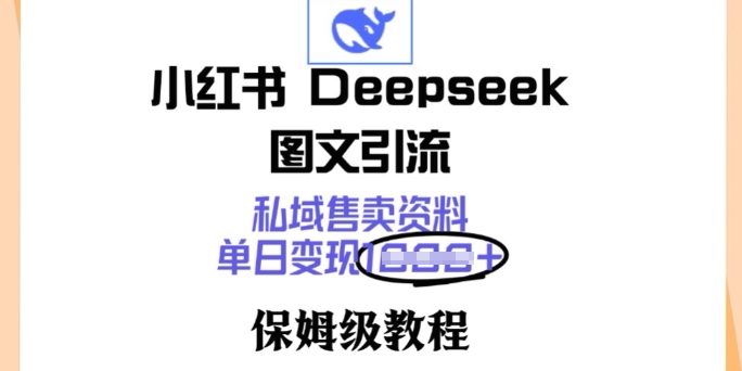 小红书Deepseek图文引流，私域售卖资料，单日变现多张，保姆级教程-天天资源网