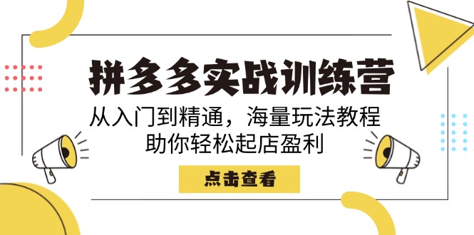 （14392期）拼多多实战训练营，从入门到精通，海量玩法教程，助你轻松起店盈利-天天资源网