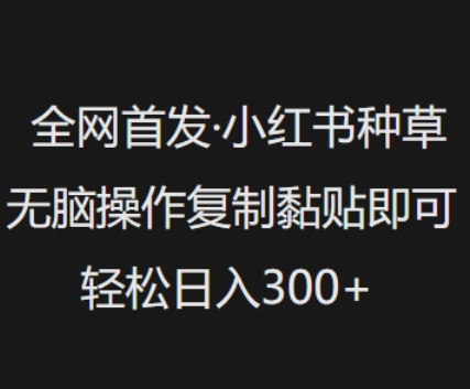 全网首发，小红书种草无脑操作，复制黏贴即可，轻松日入3张-天天资源网