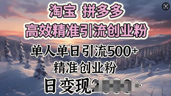 淘宝拼多多高效精准引流创业粉，单人单日引流500+创业粉，日变现多张-天天资源网
