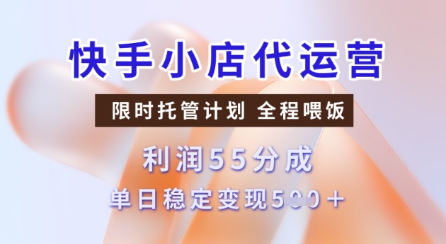 快手小店代运营3.0，模式新升级，收益55分，稳定单日5张【揭秘】-天天资源网