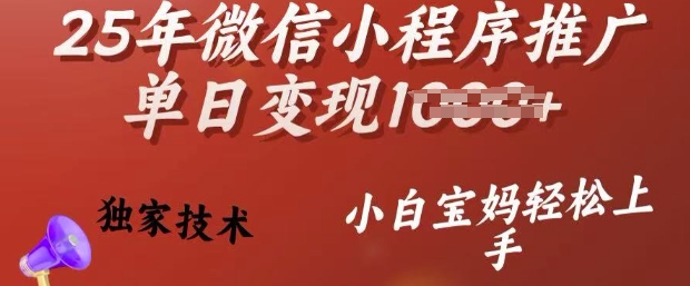 25年微信小程序推广单日变现多张，独家技术，小白宝妈轻松上手【揭秘】-天天资源网