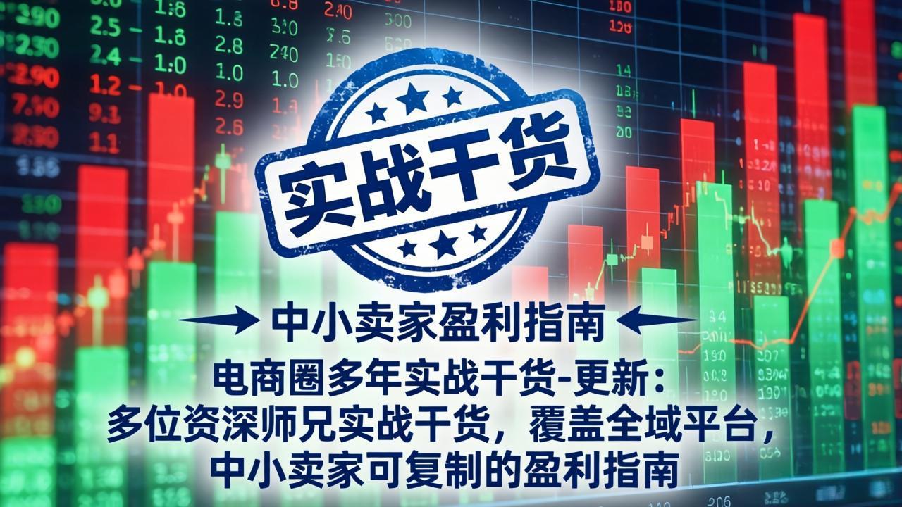 电商圈多年实战干货-更新5月10：多位资深师兄实战干货/覆盖全域平台，中小卖家可复制的盈利指南-天天资源网
