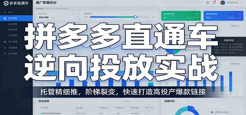 拼多多直通车逆向投放实战：托管精细推，阶梯裂变，快速打造高投产爆款链接-天天资源网