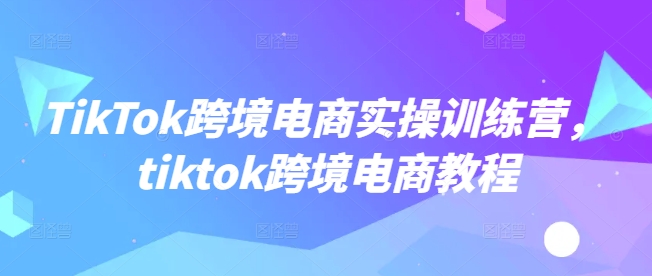 TikTok跨境电商实操训练营，tiktok跨境电商教程-天天资源网