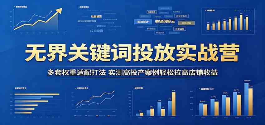 无界关键词投放实战营：多套权重适配打法，实测高投产案例轻松拉高店铺收益-天天资源网