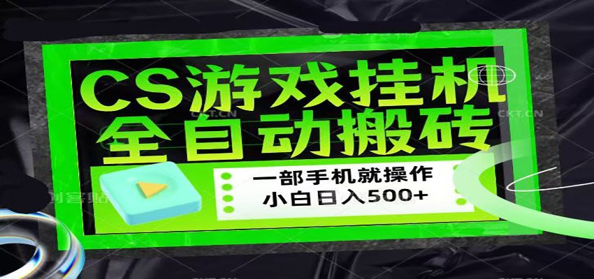 CSGO游戏挂机捡漏搬砖，超稳定的项目，带领1000+小白实现日入500+-天天资源网
