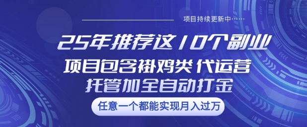 25年推荐这10个副业项目包含褂鸡类、代运营托管类、全自动打金类【揭秘】-天天资源网