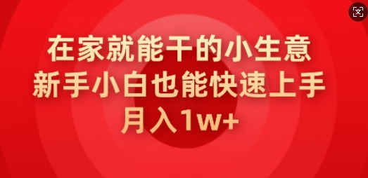 在家就能干的小生意，新手小白也能快速上手，月入1w-天天资源网
