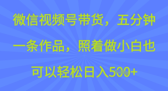 微信视频号带货，五分钟一条作品，照着做小白也可以轻松日入5张-天天资源网