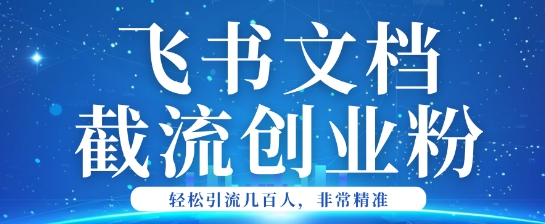 利用飞书文档截流创业粉轻松引流200+-天天资源网