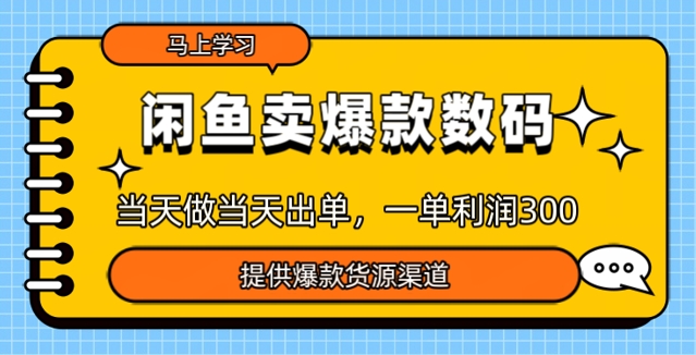 闲鱼卖爆款货源，当天做当天出单，一单利润3张-天天资源网