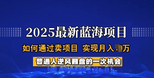 2025蓝海项目，普通人如何通过卖项目，实现月入过W，全过程【揭秘】-天天资源网