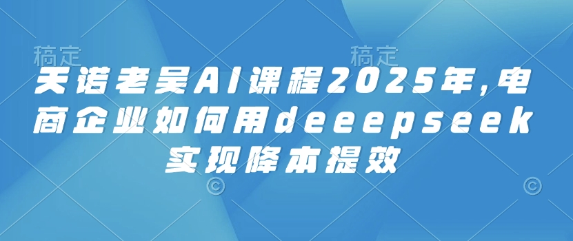 天诺老吴AI课程2025年，电商企业如何用deeepseek实现降本提效-天天资源网