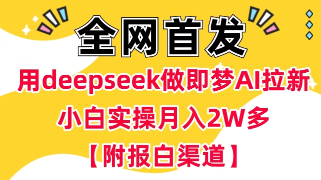 用deepseek做即梦Ai拉新 小白实操月入过W+【附报白渠道】-天天资源网