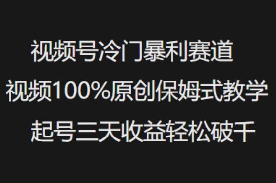 视频号冷门暴利赛道视频100%原创保姆式教学起号三天收益轻松破千-天天资源网