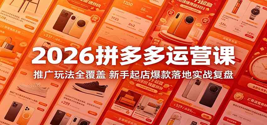 2026拼多多运营课：推广玩法全覆盖，新手起店爆款落地实战复盘-天天资源网