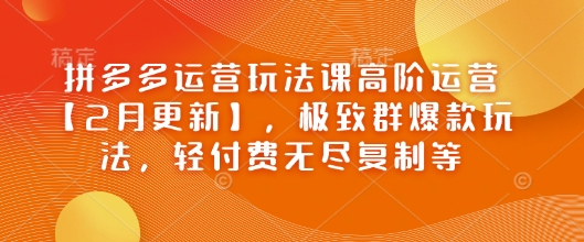 拼多多运营玩法课高阶运营【2月更新】，极致群爆款玩法，轻付费无尽复制等-天天资源网