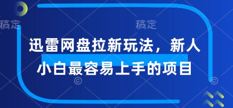 迅雷网盘拉新玩法，新人小白最容易上手的项目-天天资源网