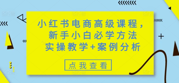 小红书电商高级课程，新手小白必学方法，实操教学+案例分析-天天资源网