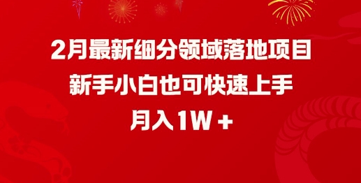 2月最新细分领域落地项目，新手小白也可快速上手，月入1W-天天资源网