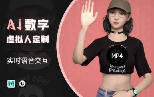 Ai数字人虚拟(智能体)实时语音交互特训营，​自行定制超写实角色AI数字人交互技术-天天资源网
