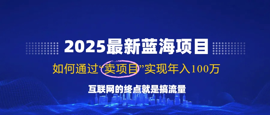 （14305期）2025最新蓝海项目，零门槛轻松复制，月入10万+，新手也能操作！-天天资源网